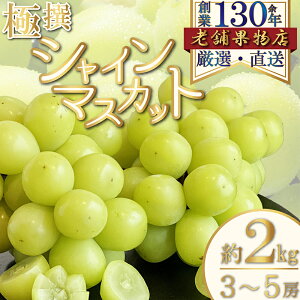 yӂ邳Ɣ[ŁzɐIVC}XJbg@2kg(3`5[) @͂F2026N815`2026N1015