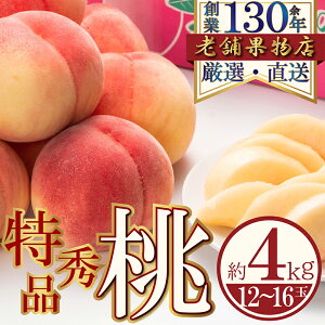 yӂ邳Ɣ[ŁzGiI쒬̓@4kg(12`16) @͂F2026N620`2026N831