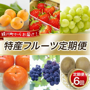 yӂ邳Ɣ[ŁzY t[c ցiN6j  т sI[l VC}XJbg ` LEC Ԃǂ  6 G {