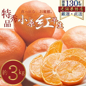 yӂ邳Ɣ[ŁzGiI^ԂȂugv@3kg@͂F2025N1115`2026N131