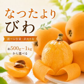 【ふるさと納税】【香川県共通返礼品】 なつたより びわ 約500g~1kg 訳あり 先行予約 2027年5月～6月頃お届け 250g×2 びわ なつたより 大玉 柔らかい 香川県共通返礼品 食品 名産 四国 香川 F5J-1031var