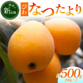 【ふるさと納税】【先行予約 2026年5月～6月頃お届け】【香川県共通返礼品】なつたよりびわ 約500g 250g×2 びわ なつたより 大玉 柔らかい 香川県共通返礼品 食品 名産 四国 香川 F5J-1031