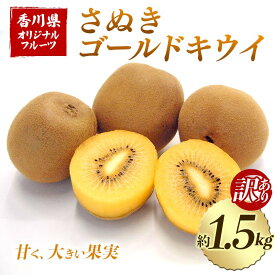 【ふるさと納税】【先行予約2026年10月～2026年12月頃お届け】 訳ありさぬきゴールドキウイ (約1.5kg) フルーツ 果物 くだもの ゴールド キウイ キウイフルーツ さぬき ゴールドキウイ デザート 食品 名産 四国 1万円 F5J-1064