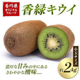 【ふるさと納税】【先行予約2026年12月〜2027年3月頃お届け】 香緑キウイ (小玉サイズ) 約2kg フルーツ 果物 くだもの キウイ 香緑 小玉 デザート キウイフルーツ 食品 名産 四国 F5J-670
