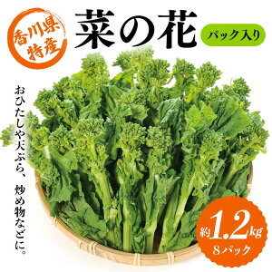 yӂ邳Ɣ[Łzys\2025N12`2026N3͂z ؂̉ pbN 1.2kg (8pbN) Ȃ̉ ؂̉ Ђ VՂ uߕ t  Hi Y l F5J-924