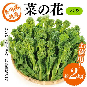 yӂ邳Ɣ[Łzys\2025N12`2026N3͂z ؂̉ o (2kg) Ȃ̉ ؂̉ Ђ VՂ uߕ t  Hi Y l F5J-926