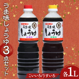 【ふるさと納税】 ＼選べる組み合わせ／うま味しょうゆこいいろ・うすいろ3点セット 醤油 調味料 食品 名産品 グルメ 四国 F5J-486var