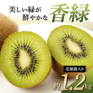 yӂ邳Ɣ[Łzys\zs2025N11{`12{͂t LEC ΂N₩  傭 ϔ1.2kg Y  ʕ LEC L[C t[c { 쌧 쌧
