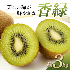 yӂ邳Ɣ[Łzys\zs2025N11{`12{͂t LEC ΂N₩  傭 3kg Y  ʕ LEC L[C t[c { 쌧 쌧ʕԗ