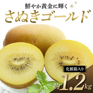 yӂ邳Ɣ[Łzys\zs2025N10{`11{͂t ʂS[h N₩ɋP S[hLEC ϔ1.2kg 쌧Y 嗱LEC LECt[c S[fLEC 