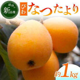【ふるさと納税】【先行予約2026年5月～6月頃お届け】【香川県共通返礼品】なつたより びわ 大玉 約1kg 新品種 F5J-672