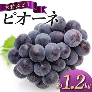 yӂ邳Ɣ[Łzys\zs2026N8{`9{͂t 嗱Ԃǂ sI[l 1.2kg Ȃ t[c {̃t[c Ԃǂ {̉ʕ Y 쌧OLsʕԗi F5J-743