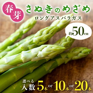 yӂ邳Ɣ[Łzys\2026N2`5͂zt ʂ̂߂ 50cm OAXpKX 5{ 10{ 20{ AXp T_ ٓ  tbV VN Օ  F5J-760var