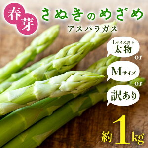 yӂ邳Ɣ[Łz_IׂTCYE󂠂^ys\2026N2{`2026N6{͂zt ʂ̂߂ AXpKX M L TCY 󂠂 AXp T_ ٓ  tbV