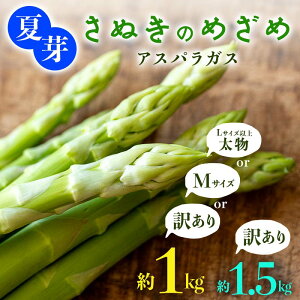 yӂ邳Ɣ[Łz_IׂTCYEeʁE󂠂^t ĉ ʂ̂߂ AXpKX M L TCY 󂠂 1kg 1.5kg AXp T_ ٓ  tbV VN Օ  F5J-768var