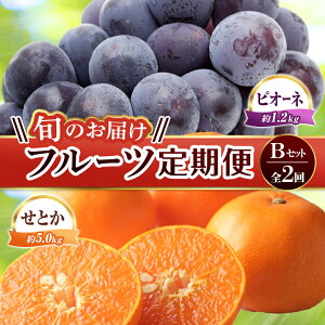 yӂ邳Ɣ[Łzyt[c 2z sƂX^[gt BZbg sI[l 1.2kg Ƃ 5kg Ԃǂ ݂ k { ʕ Y 쌧 t[c F5J-780