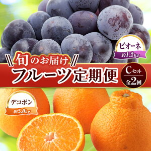 yӂ邳Ɣ[Łzyt[c 2z sfR|X^[gt CZbg sI[l 1.2kg fR| 5kg Ԃǂ ݂ k { ʕ Y 쌧 t[c F5J-781