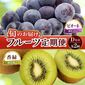 yӂ邳Ɣ[Łzyt[c 2z s΂X^[gt DZbg sI[l 1.2kg  3kg Ԃǂ LEC LECt[c { ʕ Y 쌧 t[c F5J-782