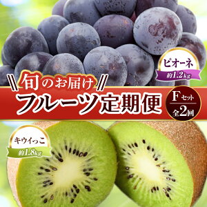 yӂ邳Ɣ[Łzyt[c 2z sLECX^[gt FZbg sI[l 1.2kg LEC 1.8kg Ԃǂ LEC LECt[c { ʕ Y 쌧 t[c F5J-784