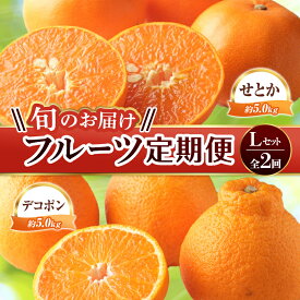 【ふるさと納税】【フルーツ定期便 2回】 《せとかからスタート》 Lセット せとか 約5kg デコポン 約5kg みかん 柑橘 旬 果物 国産 香川県 フルーツ定期便 F5J-790