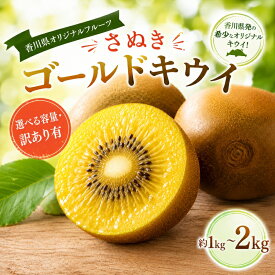 【ふるさと納税】さぬき ゴールドキウイ 約1kg 約2kg 先行予約 2026年10月〜2026年12月頃お届け フルーツ 果物 キウイフルーツ さぬき ゴールドキウイ デザート キューイ キウイ 食品 名産 四国 F5J-813var
