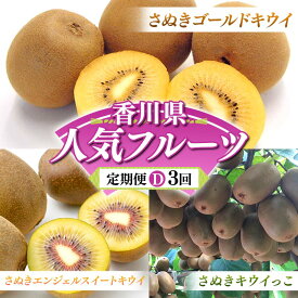 【ふるさと納税】【人気フルーツ定期便D 3回】 《さぬきゴールドキウイからスタート》 さぬきゴールドキウイ 約1kg さぬきキウイっこ 約1kg さぬきエンジェルSキウイ 約1kg キウイ キウイフルーツ 旬 果物 国産 香川県 フルーツ定期便 F5J-885