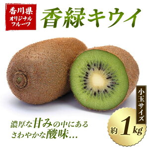 yӂ邳Ɣ[Łzys\2025N12`2026N3͂z΃LEC (ʃTCY) 1kg ӂ邳Ɣ[ LEC ÂLEC aO~ x t[c ʕ    fU[g LE
