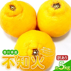 yӂ邳Ɣ[Łzys\2026N2`3͂z 󂠂ƒpsm(5kg) ʂ k ʕ  ݂ F5J-955