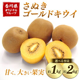 【ふるさと納税】＼選べる容量／【先行予約2026年10月〜2026年12月頃お届け】 さぬきゴールドキウイ (約1kg 約2kg) フルーツ 果物 くだもの ゴールド キウイ キウイフルーツ さぬき ゴールドキウイ デザート 食品 名産 四国 F5J-813var