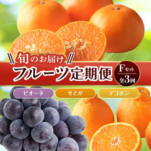 yӂ邳Ɣ[Łzyt[c 3z sƂX^[gt FZbg sI[l 1.2kg Ƃ 5kg fR| 5kg Ԃǂ ݂ k { ʕ Y 쌧 t[c F5J-798