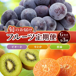 yӂ邳Ɣ[Łzyt[c 3z s΂X^[gt GZbg sI[l 1.2kg  3kg Ƃ 5kg Ԃǂ LEC LECt[c ݂ k { ʕ Y 쌧 t[c