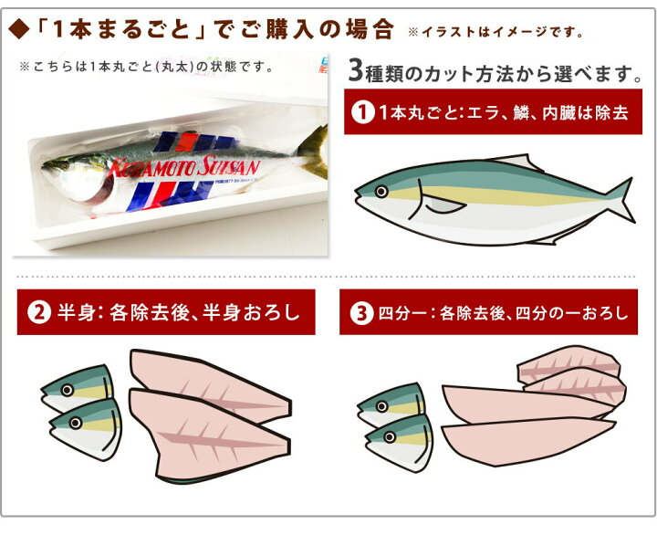 楽天市場】【ふるさと納税】活け〆オリーブぶり 1本まるごと!選べるカット【予約受付中!12月頃からの発送!】(お届け:冷蔵)〔提供:有限会社 倉本水産〕 : 香川県多度津町 楽天市場】【ふるさと納税】活け〆オリーブぶり 1本まるごと!選べるカット【予約受付中!12月頃からの発送!】(お届け:冷蔵)〔提供:有限会社 倉本水産〕 : 香川県多度津町