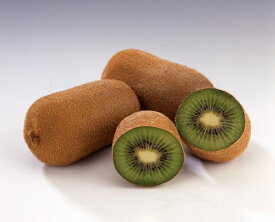 楽天市場 緑 フルーツ 果物 食品 の通販 楽天市場 緑 フルーツ 果物 食品 の通販
