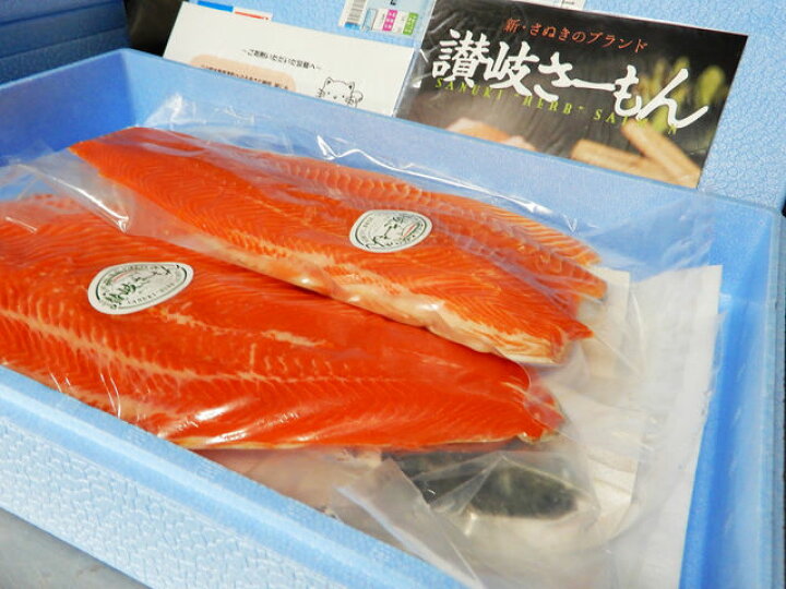 楽天市場】【ふるさと納税】讃岐さーもん 1尾【予約受付中!令和5年4月頃から限定出荷分】〔お届け:冷蔵〕サーモン☆まるごと☆刺身☆ : 香川県多度津町 楽天市場】【ふるさと納税】讃岐さーもん 1尾【予約受付中!令和5年4月頃から限定出荷分】〔お届け:冷蔵〕サーモン☆まるごと☆刺身☆ : 香川県多度津町