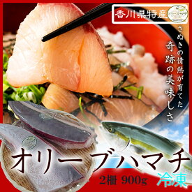 【ふるさと納税】オリーブハマチ　冷凍　柵2本（お届け：冷凍）お刺身や漬け丼 照り焼き しゃぶしゃぶにどうぞ!