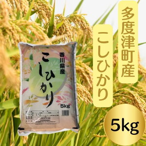 yӂ邳Ɣ[Łzyߘa7NYVāzxÒYЂ 5kg y쌧HƎƋgz
