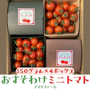 【ふるさと納税】テイクファームの 「多度津おすそわけミニトマト」約1.4kg【旬の時期にお届け】【L-44】〔提供:テイクファーム〕トマト リコピン カロチン