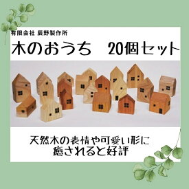 【ふるさと納税】木のおうち　20個セット〔提供：有限会社 辰野製作所〕木製 おうち レトロ 貴重 置物 インテリア