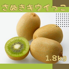 【ふるさと納税】さぬきキウイっこ キウイフルーツ 1.8kg【予約受付中！令和8年11月中旬頃より発送！】〔提供：有限会社マミィギフトカガワ〕甘い 小さい 一口サイズ ゼリーみたい 期間限定