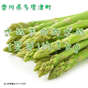 【ふるさと納税】さぬきのめざめ(夏芽)【令和8年6月中旬頃より発送!予約受付中!】〔提供:ことひら街道〕しあわせ製麺 アスパラガス シャキシャキ 爽やかな甘み まろやか 長い 野菜