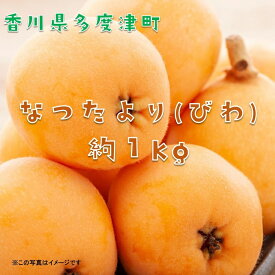 【ふるさと納税】なつたより（びわ）約1kg（常温）【予約受付中！令和8年6月上旬より発送！】〔提供：株式会社ことひら街道〕しあわせ製麺 初夏 風物詩 フルーツ くだもの 琵琶 枇杷 香川県 多度津町 旬 新鮮 ふるーつ 果物
