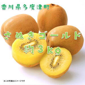 yӂ邳Ɣ[Łz쌧IWiLECt[cwʂS[hx3kgy\tIߘa7N10{甭zk񋟁FЂƂЂXl킹 Â Ԍ 傫