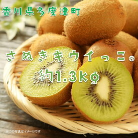 【ふるさと納税】香川県オリジナルキウイフルーツ「さぬきキウイっこ®」1.3kg【予約受付中！令和8年11月上旬頃から】〔提供：株式会社ことひら街道〕しあわせ製麺 甘い 小さい 一口サイズ ゼリーみたい 期間限定