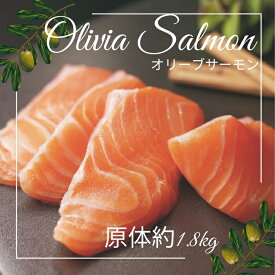 【ふるさと納税】オリーブサーモン 1尾【予約受付中！令和8年4月頃から限定出荷分】〔お届け：冷蔵〕サーモン★まるごと★刺身★