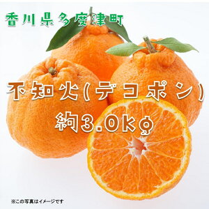yӂ邳Ɣ[Łzsm(fR|)@3kgyߘa7N2{蔭zk񋟁FЂƂЂXl 킹 Â W[V[ Gߌ
