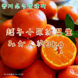 【ふるさと納税】『越冬小原紅早生みかん』約3kg【予約受付中！令和9年1月中旬より発送！】〔提供：株式会社ことひら街道〕しあわせ製麺 濃厚 甘い 紅い 香川オリジナル 希少