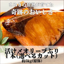 【ふるさと納税】活け〆オリーブぶり 1本まるごと！選べるカット【予約受付中！12月頃からの発送！】（お届け：冷蔵）〔提供：有限会社　倉本水産〕