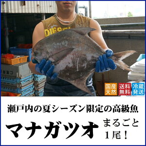 �y�ӂ邳�Ɣ[�Łz�}�i�K�c�I1���i�ߘa8�N7��������̏o�ו��I�j�i���͂��F�①�j�k�񋟁F�L����Ё@�q�{���Y�l���쌧 ���� ������ �N�� �ґ� ��i