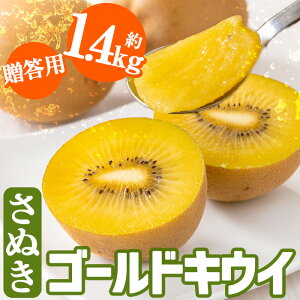 yӂ邳Ɣ[Łzs\I2025N10{ȍ~\聄pEʌI쌧Y ʂS[hLEC(1.4kgEϔ)Y ʕ  Yn t[c LECt[c