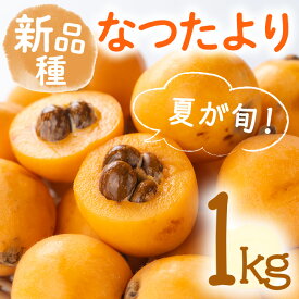 【ふるさと納税】＜先行予約！2026年5月下旬以降順次発送予定＞なつたより びわ (約1kg) フルーツ 産地直送 新鮮 香川 香川県 特産 果物 ふるーつ 旬 人気 お取り寄せ【man066】【Aglio nero】